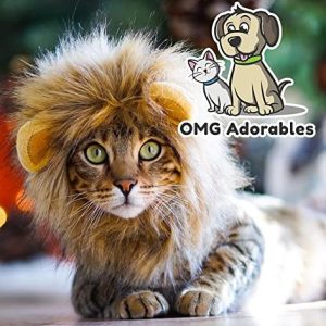 Lion Mane Cat Wigs For Halloween