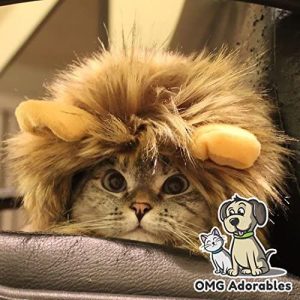 Lion Mane Cat Wigs For Halloween