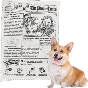 Squeaky Interactive Newspaper Dog Toy