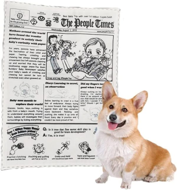 Squeaky Interactive Newspaper Dog Toy