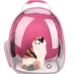 Cat Bag Full Transparent Pet Space Bag