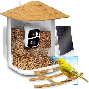 Nestwatch Smart Bird Feeder With Camera