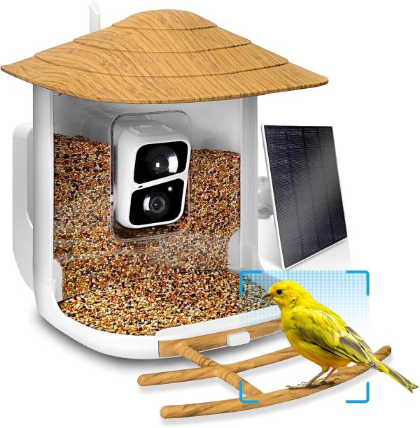 Nestwatch Smart Bird Feeder With Camera