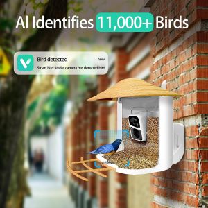 Nestwatch Smart Bird Feeder With Camera