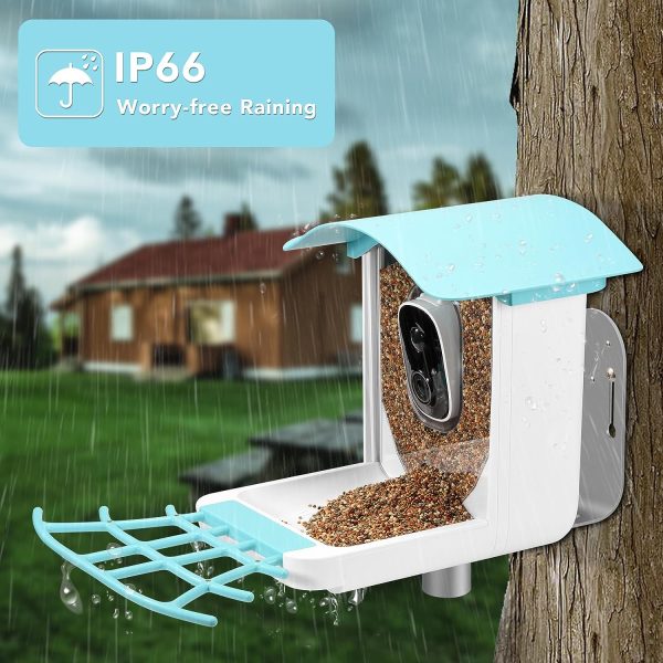 Birdieview Bird Feeder With Camera