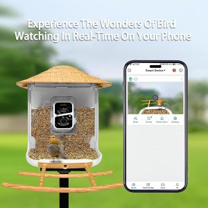 Nestwatch Smart Bird Feeder With Camera