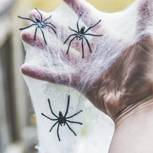 Happy Hippo Halloween Spider Web Decoration, Plastic Spiders, Party Supplies, Spider Webs (Small, 200 Sq Feet)