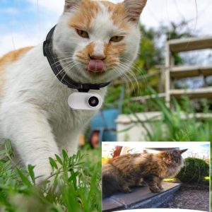 Tailtrail Pet Collar Camera