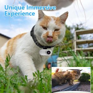 Tailtrail Pet Collar Camera