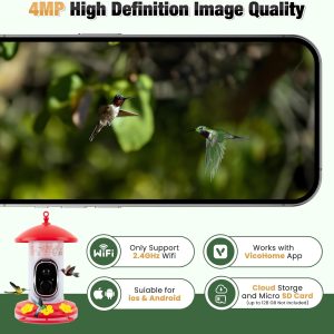 Birdwise Hummingbird Feeder With Camera