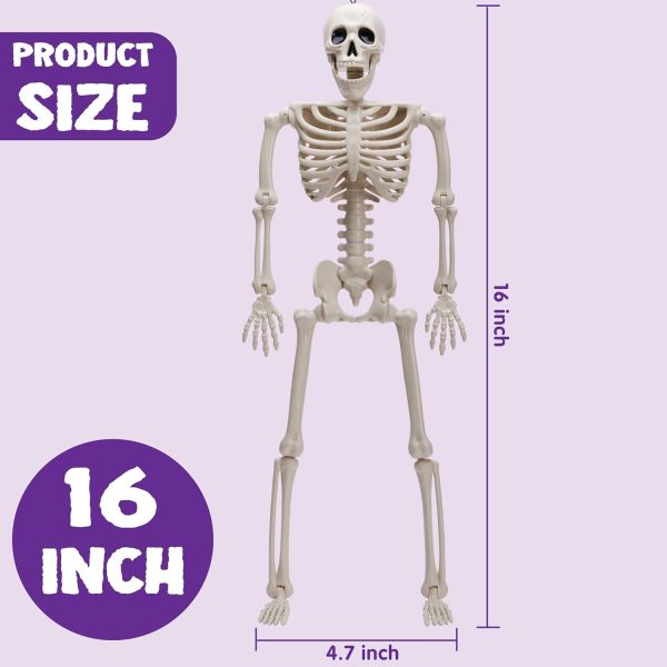 Joyin 5 Pcs Posable Halloween Skeletons 16 Inches Full Body Posable Joints Hanging Skeletons For Graveyard Decorations, Haunted House Accessories, Spooky Scene Party Favors