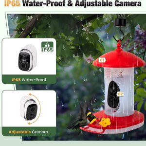 Birdwise Hummingbird Feeder With Camera