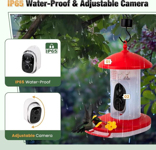 Birdwise Hummingbird Feeder With Camera