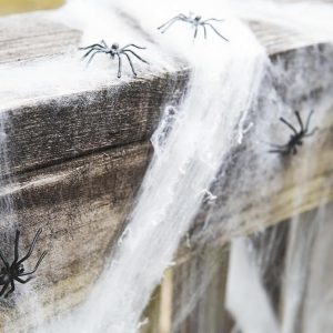 Happy Hippo Halloween Spider Web Decoration, Plastic Spiders, Party Supplies, Spider Webs (Small, 200 Sq Feet)