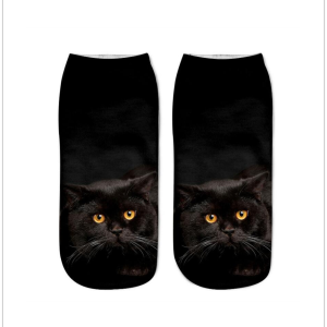 Various Cat Socks