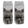 Various Cat Socks