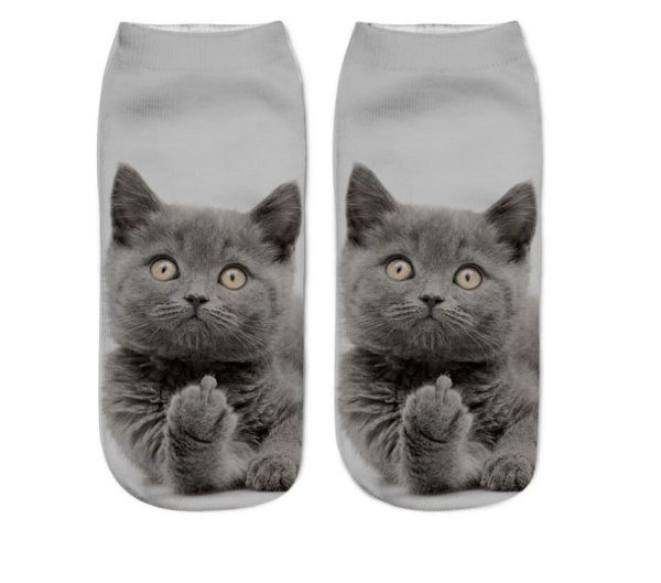 Various Cat Socks