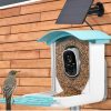 Birdieview Bird Feeder With Camera