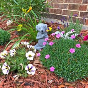 Zen Meditating Buddha Dog Statue Buddha