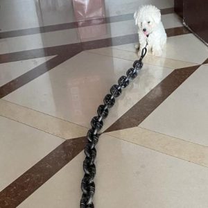 Beastchain Simulated Metal Chain Dog Leash