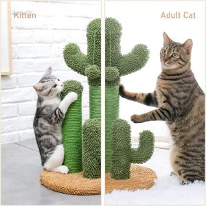 Cactus Cat Scratching Post