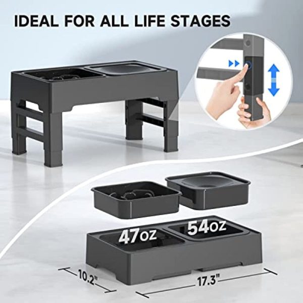 Elevaty 2 In 1 Elevated Slow Feeder With No Spill Water Bowl