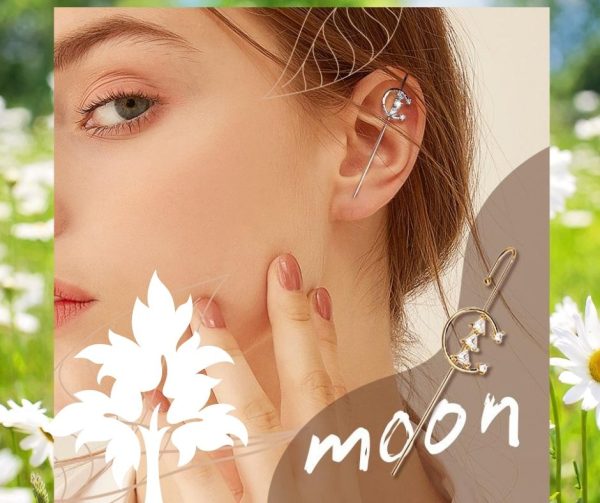 Luxury Ear Wrap Crawler Hook Earrings