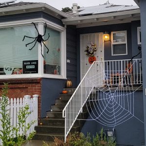 Webby Giant Halloween Spider Web