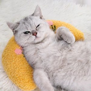 Cat Calming Pillow ( Gift)