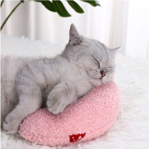 Cat Calming Pillow ( Gift)