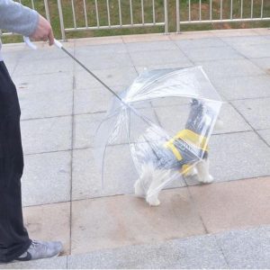 Transparent Dog Umbrella