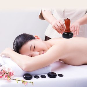 Bian Stone Warming Moxibustion Apparatus