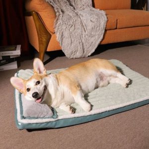 The Duffy Dog Bed