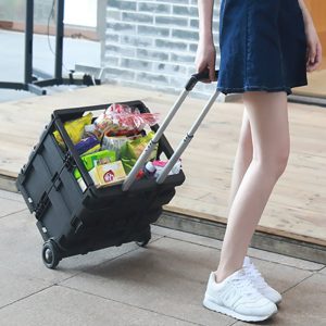 Car Trunk Organizer Auto Trolley Suitcase Travel Suitcase