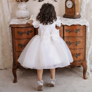 Children'S Flying Sleeve Puffy Princess Dress