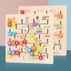 Cognitive Maze To Find A Place Educational Toy