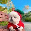 Cute Pet Dog Clothes Cartoon Clothes For Dogs