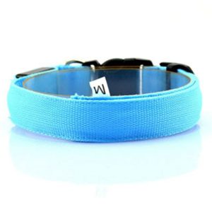 Dog Luminous Collar Luminous Collar Fluorescence