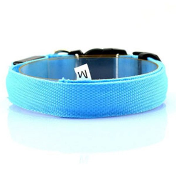 Dog Luminous Collar Luminous Collar Fluorescence