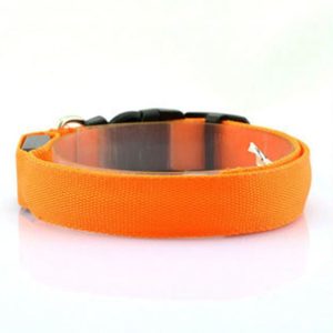 Dog Luminous Collar Luminous Collar Fluorescence