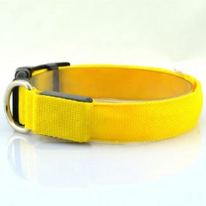 Dog Luminous Collar Luminous Collar Fluorescence