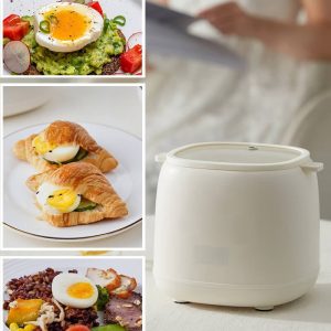 Smart Egg Cooker