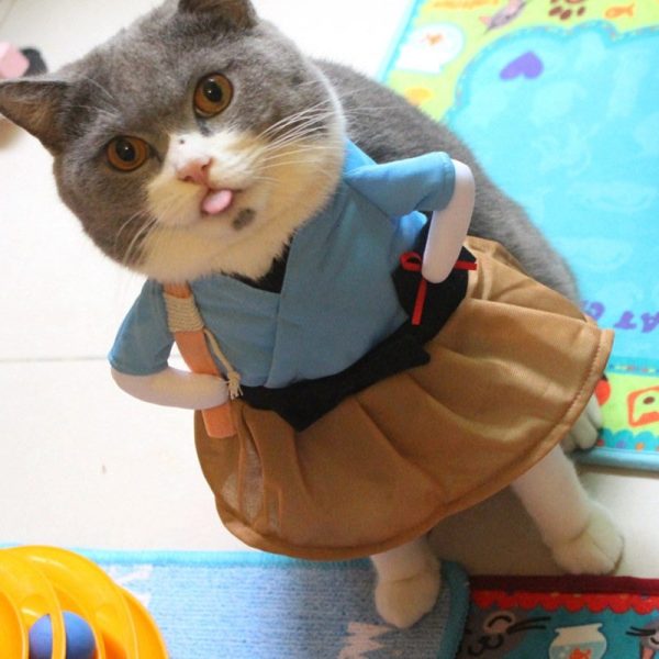 Samurai Cat Dog Halloween Costume