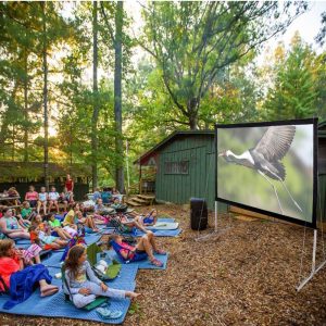 135 16:9 Portable Outdoor Projector Screen W/ Frame Freestanding Bag