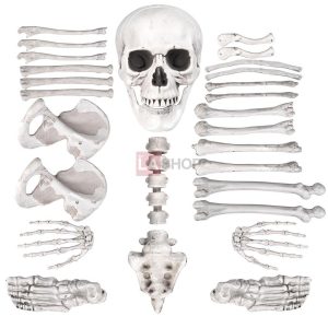 28Pc Bag Of Skeleton Bones Props Set Halloween Party Decor