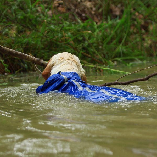 Premium Dog Raincoat Jacket