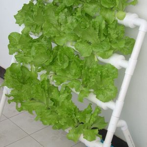 Premium Hydroponic Garden Tower System Setup Kit 36 Sites