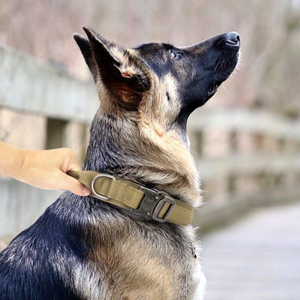 Large Tactical Dog Collar