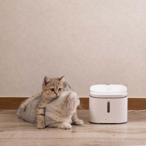 Smart Automatic Pet Water Dispenser