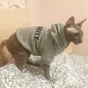 Security Pet Hoodie